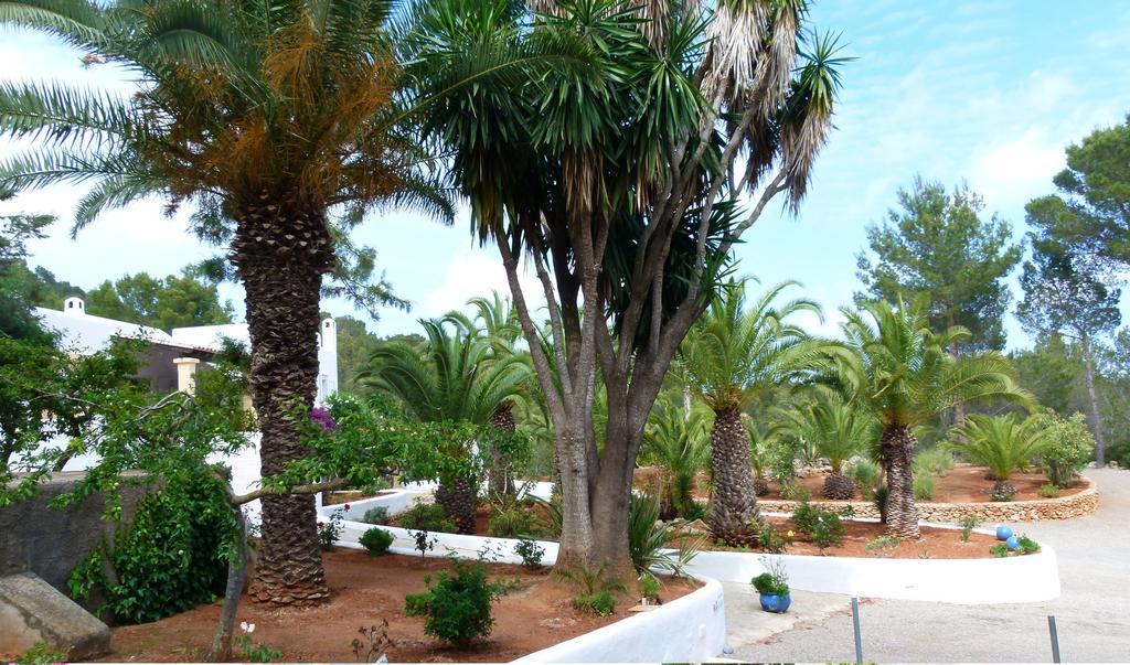 Hacienda Encanto Del Rio Playa DPlaya Des Figueral Εξωτερικό φωτογραφία